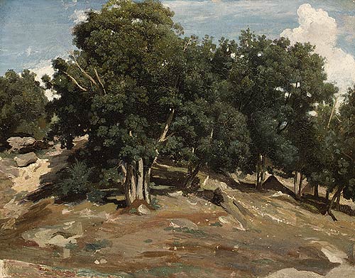 Fontainebleau, Oak Trees at Bas-Breau Camille Corot, 1832-3 Oil on paper laid down on wood; 15 5/8 x 19 1/2 in. The Metropolitan Museum of Art